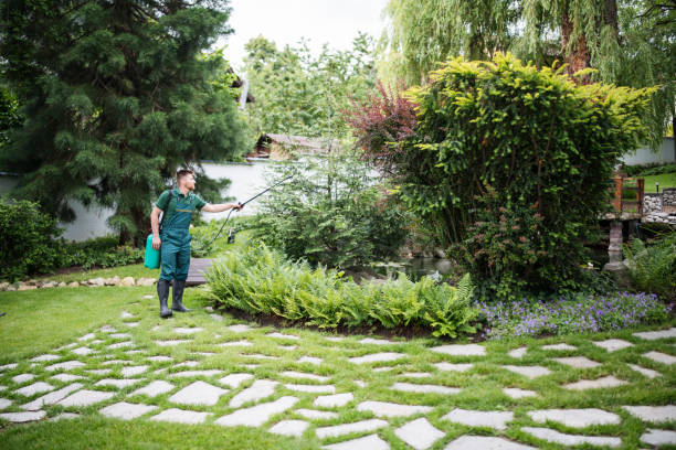 Best Residential Pest Control  in Carlinvle, IL