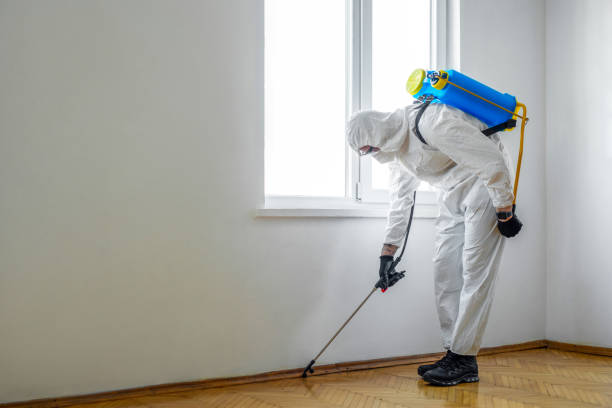 Best Best Pest Control Companies  in Carlinvle, IL