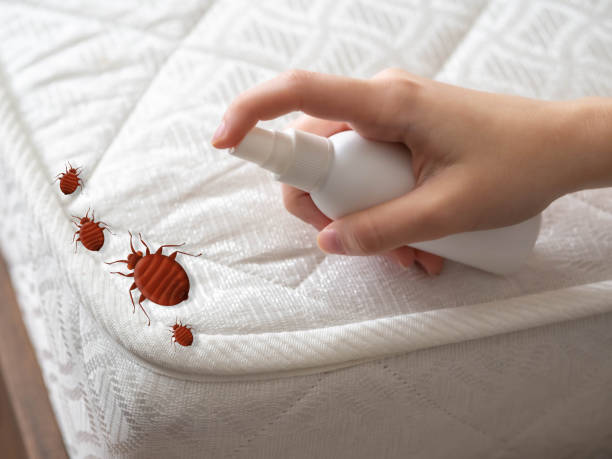 Best Exterminator Services  in Carlinvle, IL