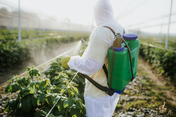 Best Termite Control Services  in Carlinvle, IL